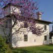 Apartments Florence - Villa La Medicea with swimming pool