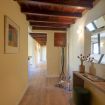 Apartments Florence - Borgo Albizi