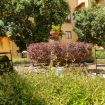 Apartments Florence - Dragomanni Apartment (one) with Garden