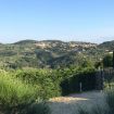 Apartments Florence - Villa Lavanda