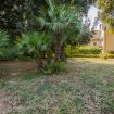 Apartments Florence - Bisarno Apartment with garden