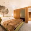 Apartments Florence - Dragomanni Loft (two) with garden