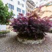 Apartments Florence - Dragomanni Loft (two) with garden
