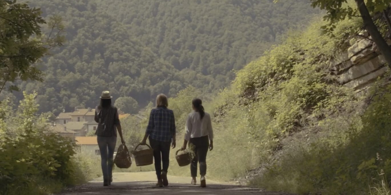 Hiking, foraging & cooking experience con erbe selvatiche e fiori eduli