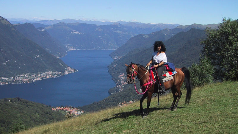 Horse ride excursion or riding lesson 