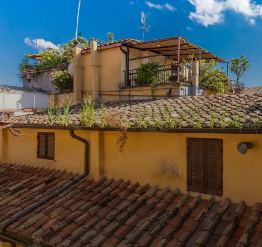 Casa Wally Scopri Roma con Casa Wally