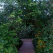 Il rigoglioso e lussureggiante giardino - Giardino di Michela