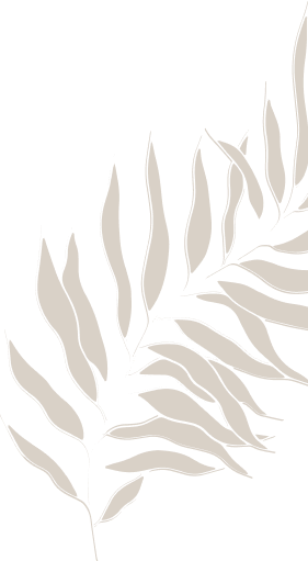 Canela Homes backgrounds
