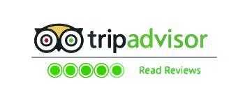 icona tripadvisor