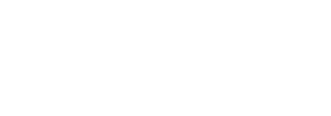 logo'