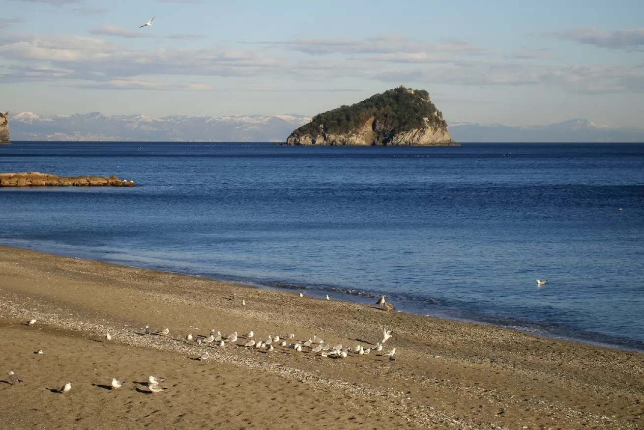 Golfo dell'Isola - Italian Riviera Rent, image size:1310x875