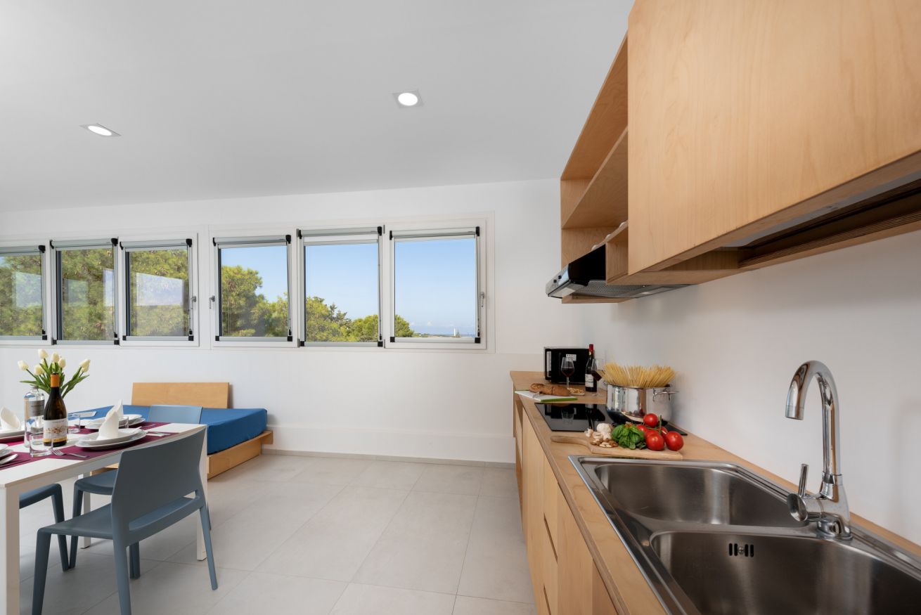 Deluxe Three-room Apartment 