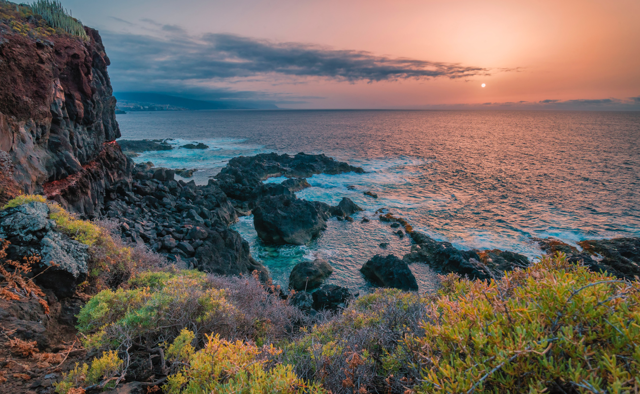 Las vistas Gallery