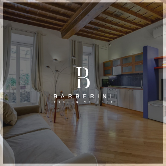 Barberini Exclusive Loft