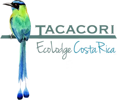 Tacacori Ecolodge