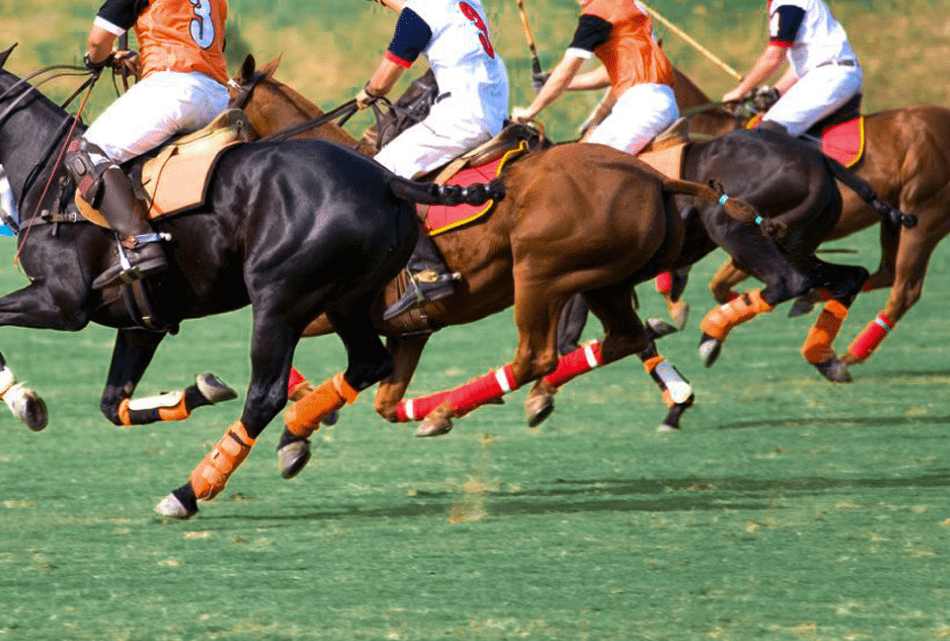 Real Club de Polo de Barcelona