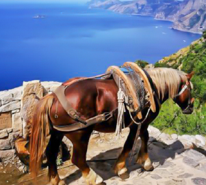 Vacation Rental Sorrento Sorrento Hiking