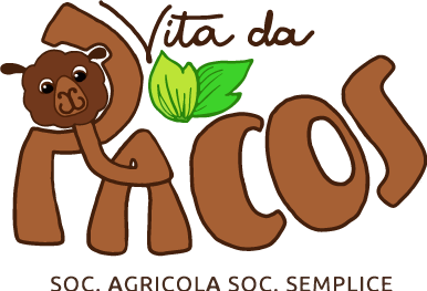 Vita da Pacos